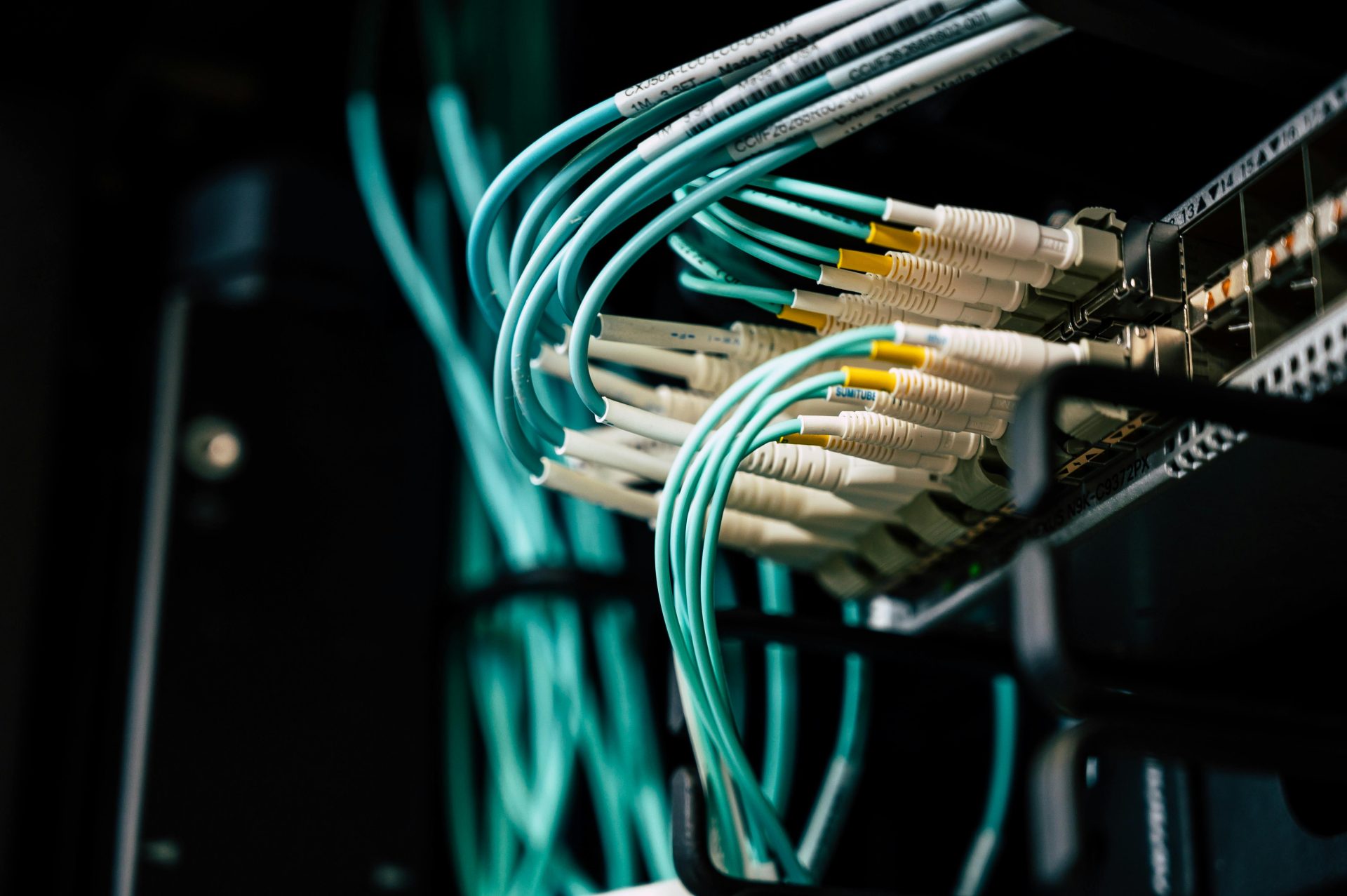 Netzwerkkabel in einem Rack