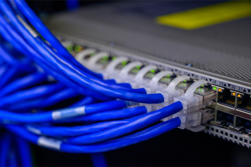 Netzwerkkabel an einem Switch