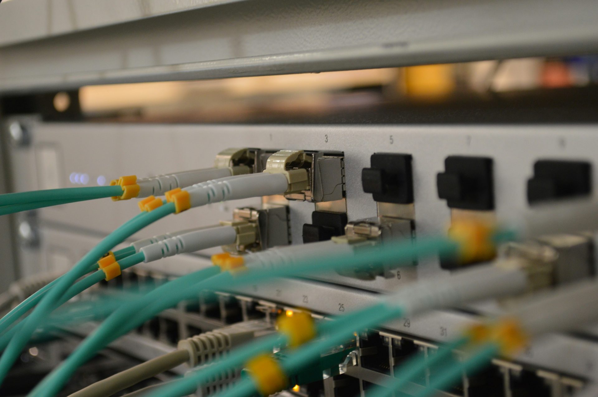 Netzwerkkabel an Schalter angeschlossen